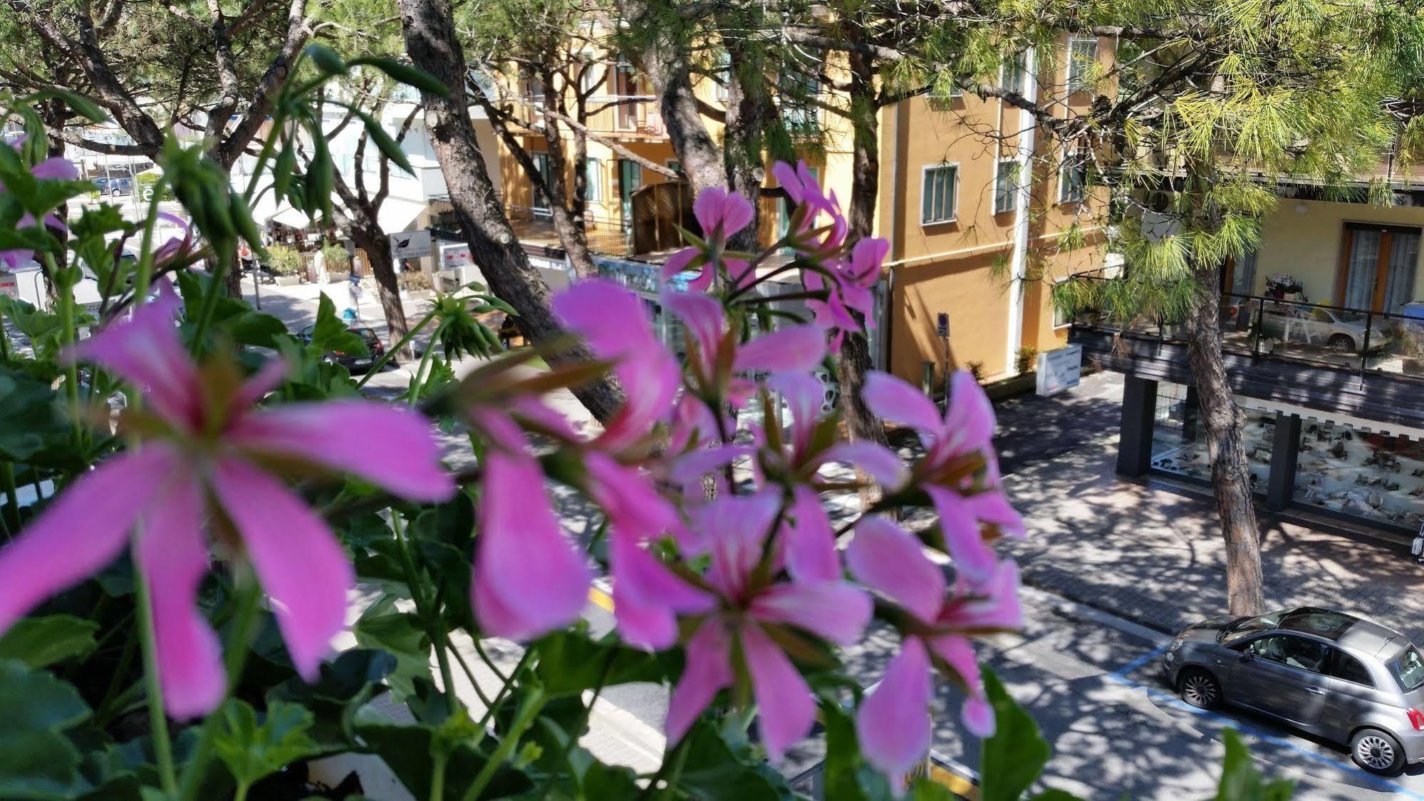 Hotel Danubio Lido di Jesolo Eksteriør billede